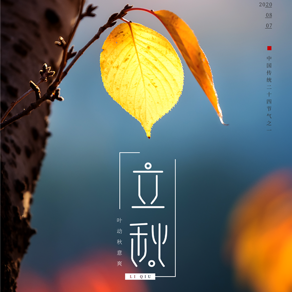 佛山不銹鋼管生產廠家